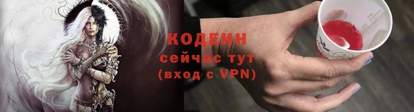 дмт Арсеньев